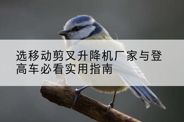 扶绥电动升降机厂家-选移动剪叉升降机厂家与登高车必看实用指南
