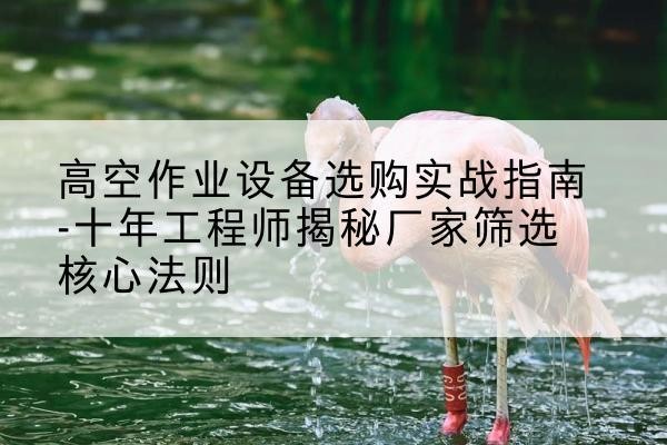 扶绥剪叉式升降机厂家-高空作业设备选购实战指南-十年工程师揭秘厂家筛选核心法则