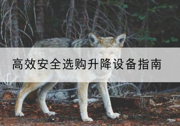 扶绥升降货梯厂家推荐-*安全选购升降设备指南