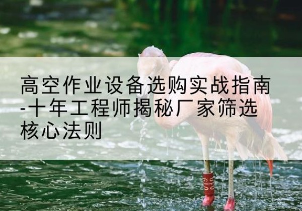 扶绥剪叉式升降机厂家-高空作业设备选购实战指南-十年工程师揭秘厂家筛选核心法则